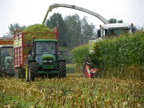 Getting Ready for Harvesting Corn Silage | Northwest NY Dairy, Livestock & Field Crops Team