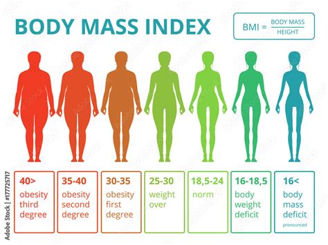 Vecteur Stock Medical infographics with illustrations of female body mass index. Scales from fat ...