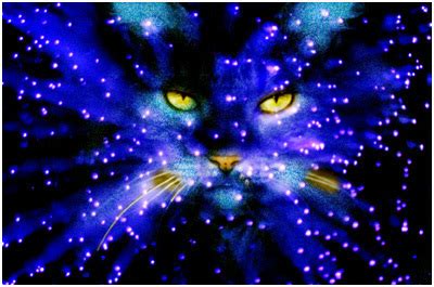 Starclan cat 2 - Warrior Cats Forever Fan Art (30356671) - Fanpop