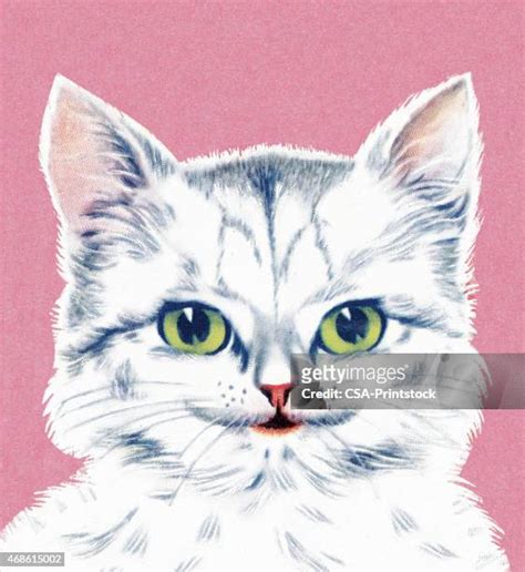 White Cat Pink Background Photos and Premium High Res Pictures - Getty Images