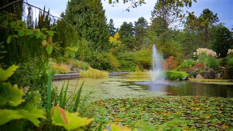 VanDusen Botanical Garden in Vancouver, British Columbia | Expedia.ca