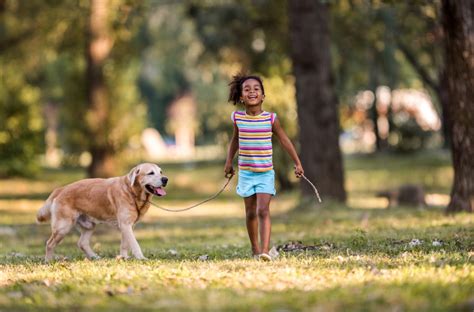 Walk with Your Dog: It’s Good For Your Mental Health - Discovery Mood ...