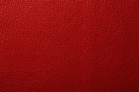 Royalty Free Red Leather Pictures, Images and Stock Photos - iStock