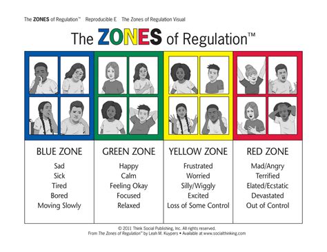 Zones of Regulation » Kaikorai Primary School