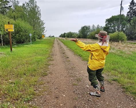 Exploring Alberta's Iron Horse Trail - Hike Bike Travel