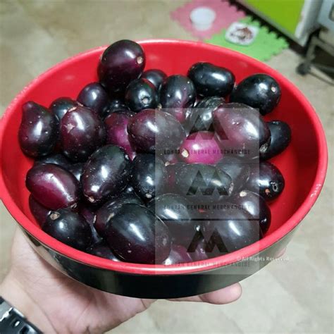 Duhat Grafted Giant fruit/Lomboy/ Giant Java Plum fruit hybrid tree Var ...