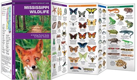 Mississippi Wildlife (Pocket Naturalist® Guide)