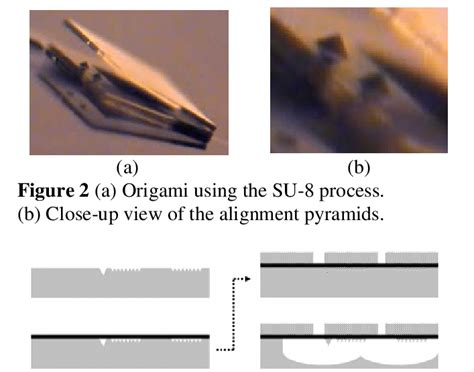 SU-8 process flow (gray=silicon; black=gold; striped=SU-8). | Download ...