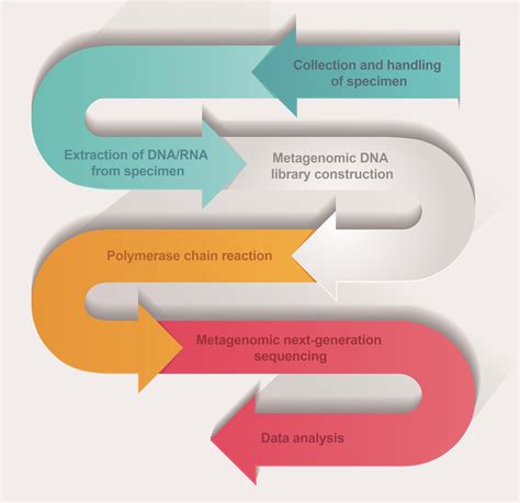 Metagenomic Next-generation Sequencing: Application in Infectious Diseases