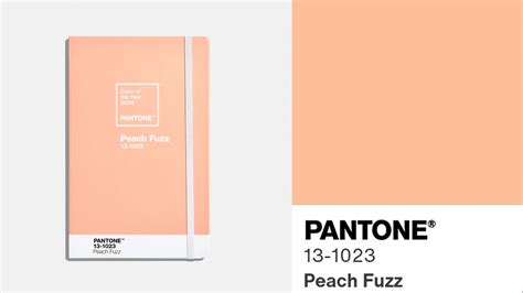 What is the Pantone color of the year? Peach Fuzz named color of the ...