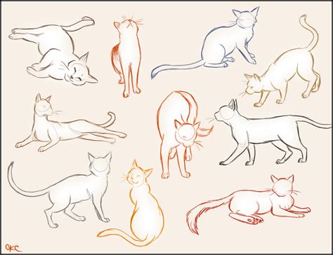 Cat Sketches by Inonibird on DeviantArt