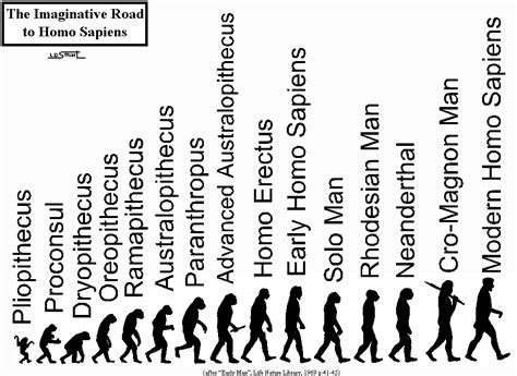 Human Evolution Timeline