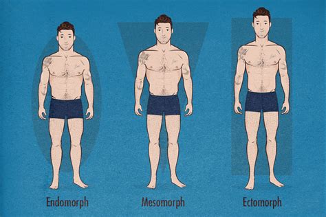 The Male Body Types: Ectomorph, Endomorph, Mesomorph