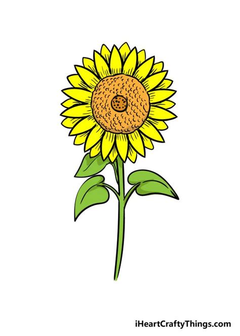 Sunflower Drawing - How To Draw A Sunflower Step By Step!