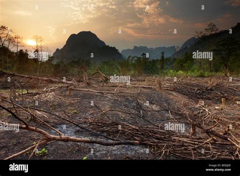 Slash and burn deforestation hi-res stock photography and images - Alamy