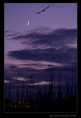 Crescent moon & Venus | P-M Hedén - Sky & Telescope - Sky & Telescope