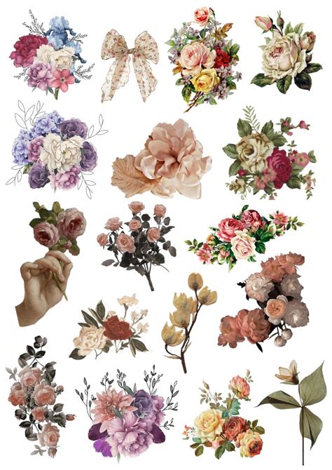 Vintage Flower Prints, Vintage Flowers, Design For Scrapbook, Photo ...