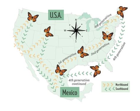 Use This Monarch Migration Map to Track the Epic Journey - Birds and Blooms