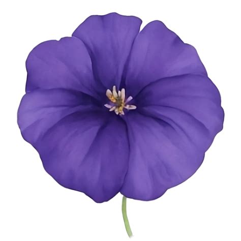 Purple or violet Morning glory flower clip art or sticker 27153344 PNG