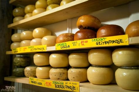 Everything You Needed to Know Dutch Gouda Cheese in Amsterdam