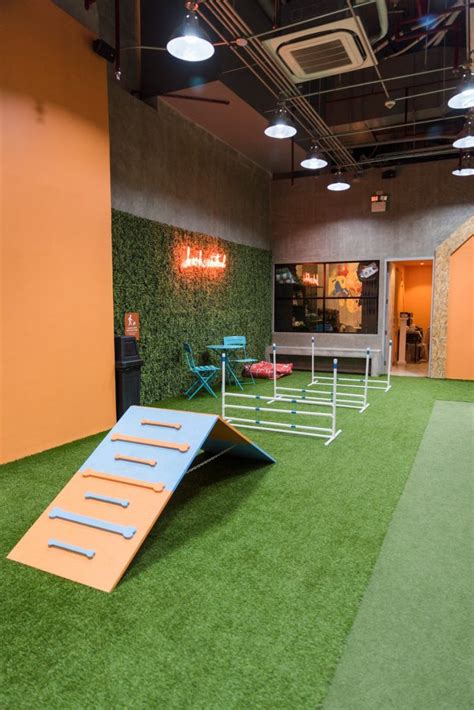 This indoor dog park is the perfect date for you and your dog ...