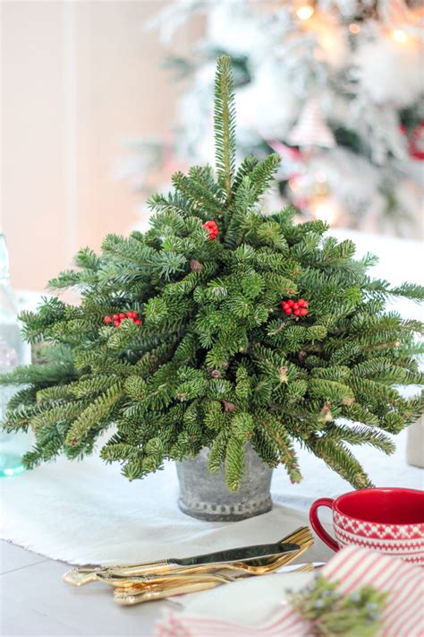 14 DIY Tabletop Christmas Trees That Excite - Shelterness