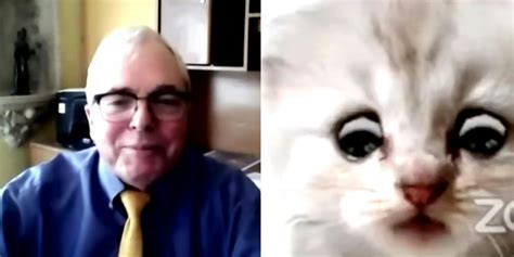 The Lawyer Cat's Past Comes Back To Haunt Him, Does The Web Care?