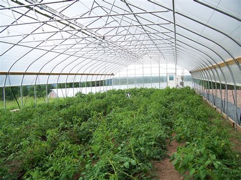 Grow Organic Tomatoes Center for Discovery is Harris, NY operates a ...