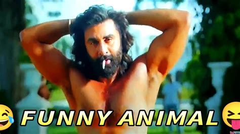 animal movie comedy 🤣😛😝 #ranbeerkapoor #animalmovie #funny #comedy# ...