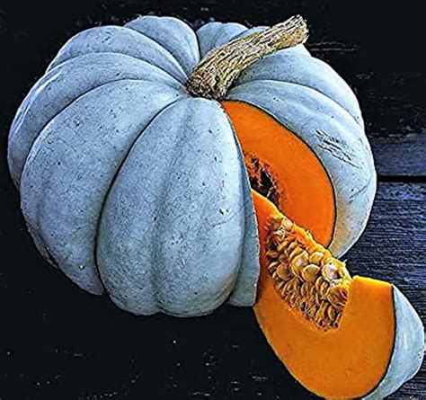 Jarrahdale Blue Pumpkin Seeds Jarrahdale Blue Pumpkin Queensland Blue, Australian Blue ...