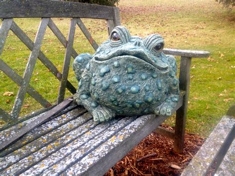 Large Ceramic Frog on Bench | Lynn Friedman | Flickr