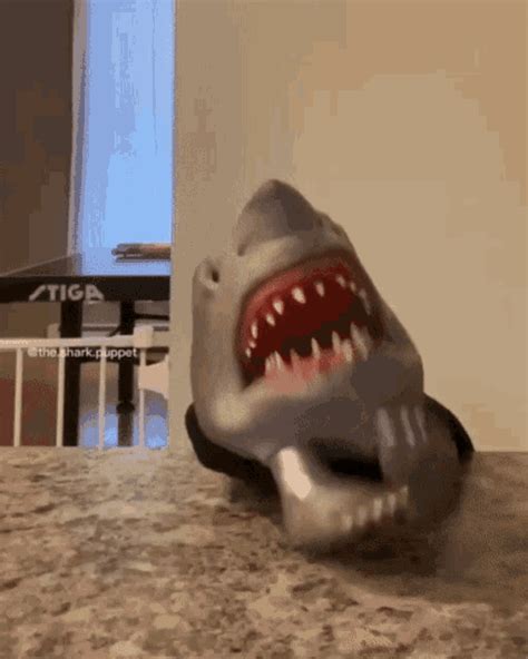 Shark Puppet Shark Week GIF - SharkPuppet Shark SharkWeek - Discover & Share GIFs