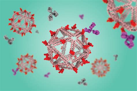 DNA particles that mimic viruses hold promise as vaccines | MIT News ...