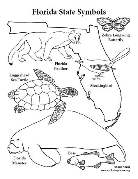 Florida State Symbols Coloring Page