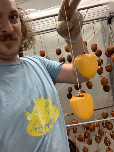 This year’s hachiya persimmon harvest and hoshigaki so far! : r/mead