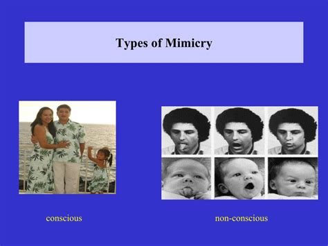 PPT - Interpersonal Mimicry: The Chameleon Effect PowerPoint Presentation - ID:1445760