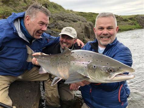 Salmon fishing in Iceland