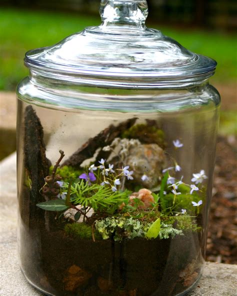 Get to Know Your Backyard - Build a Terrarium - One Part Sunshine | Garden terrarium, Terrarium ...