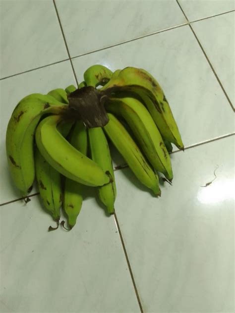 Pisang Raja Nangka on Carousell