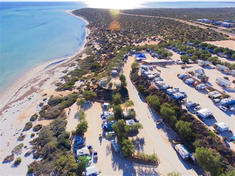 New ownership at Denham Seaside Caravan Park, Western Australia - Camps Australia Wide