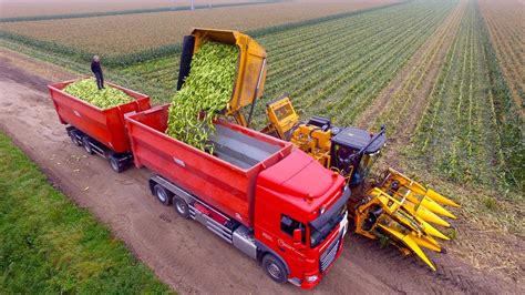 Picking Organic Sweet Corn | Oxbo 2475 corn picker | suiker mais ...