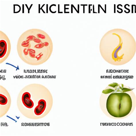 How to Relieve Itchy Skin Caused by Kidney Disease: Natural Remedies, Lifestyle Changes, and ...