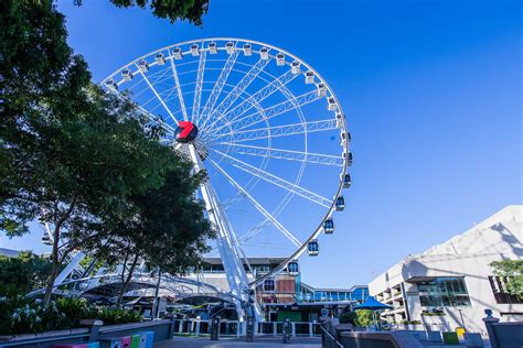 The Wheel of Brisbane - Home