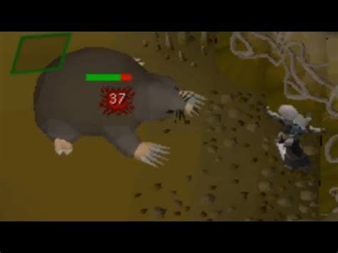 Giant mole guide osrs