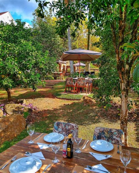 an outdoor dining area with table, chairs and umbrella in the middle of it surrounded by trees