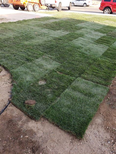 Tall Fescue SOD/GRASS for Sale for Sale in Upland, CA - OfferUp