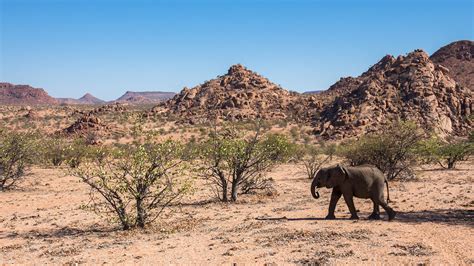 Skeleton Coast National Park - Journeys by Design