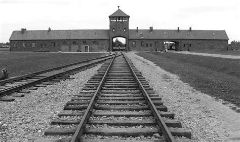 750 students on memorial train to Auschwitz | Florence Daily News