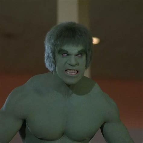 The Incredible Hulk Tv Series