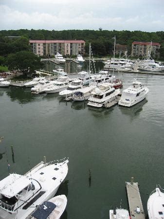 Hilton Head Pictures - Traveler Photos of Hilton Head, Coastal South Carolina - Tripadvisor